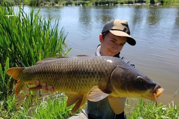 Cebos para la pesca de la carpa