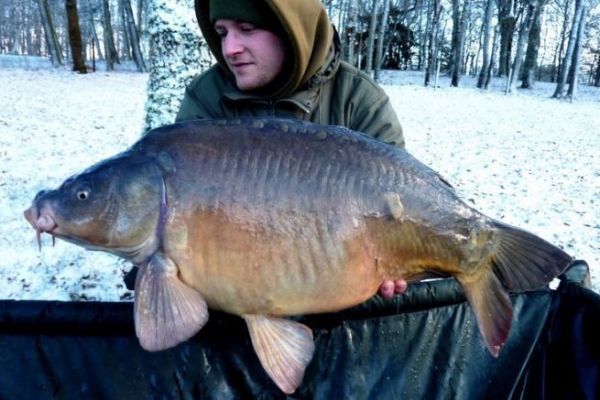 Pesca de carpas en invierno