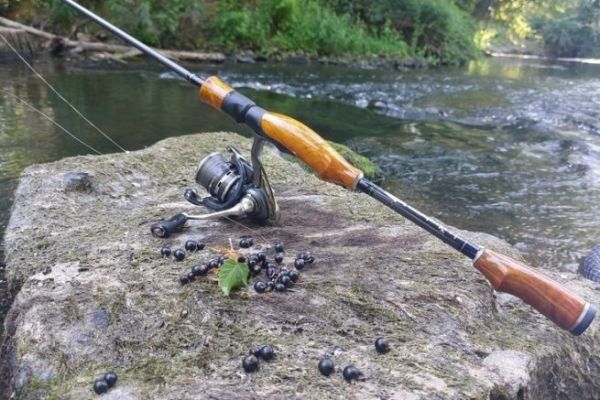 Moras, grosellas, agrios, endrinas... siempre que sean de temporada!