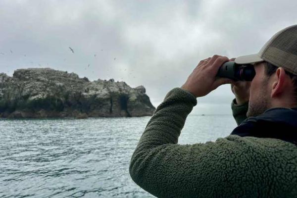 El uso de prismticos estabilizados se ha convertido en algo habitual para los pescadores de atn habituales. Probarlos es darse cuenta de lo importantes que son