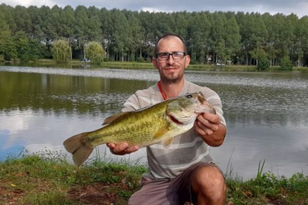 Seguimiento de grandes black bass con cebo