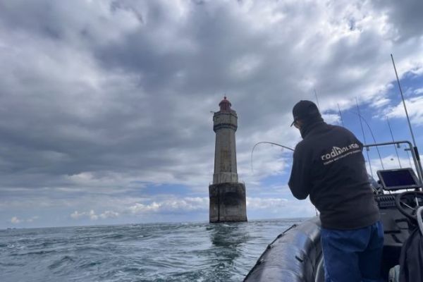 Cules son los criterios de seleccin de una caa polivalente?