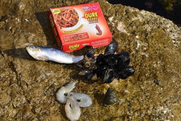 Diferentes cebos para la pesca en el mar