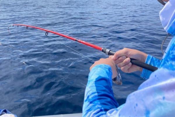 Pesca de fondo desde una embarcación