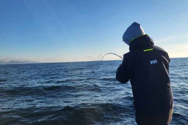 Equipo para la pesca del lucioperca