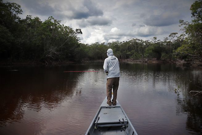 En las lagunas se encuentran grandes pavones.