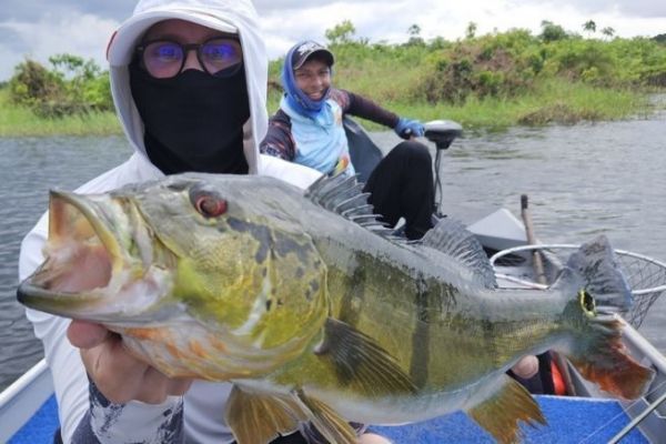 Pesca en Brasil