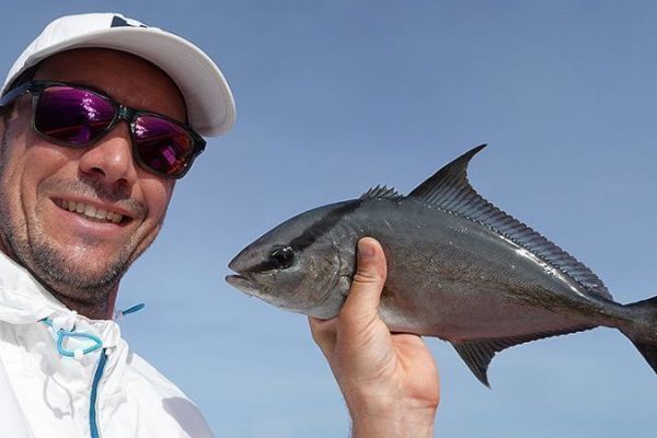Yellowtail capturado en una pequea plantilla