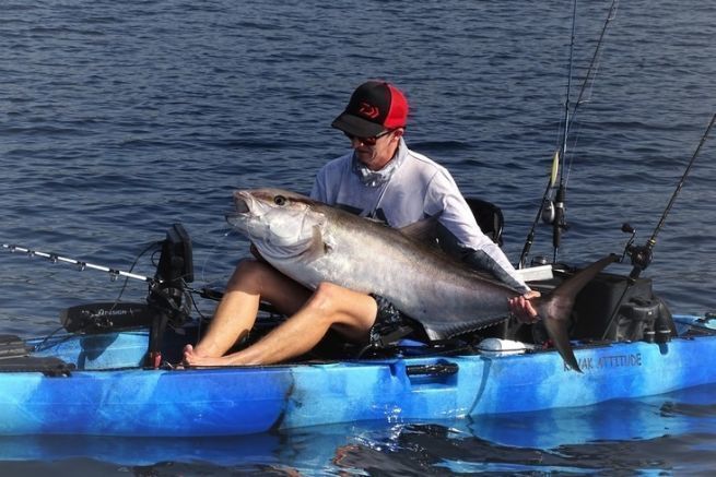 Equipo para la pesca de serviolas