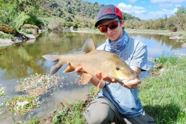 Comizo pesca del barbo con seuelos