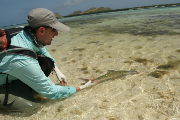 Los Roques para la pesca del macabí