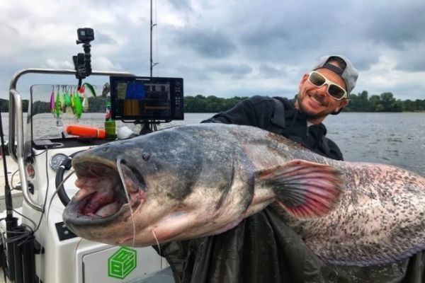 Sylvain Giraud, especialista en pesca de siluro
