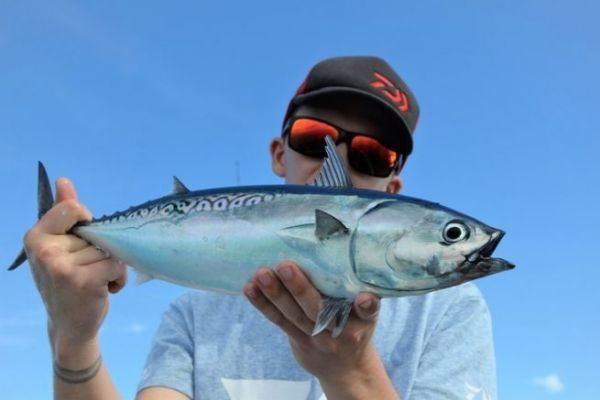 �C�mo aparecieron los dedos durante la evoluci�n?
