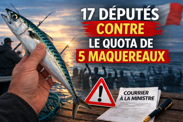 Cuota de 5 caballas para la pesca recreativa: 17 eurodiputados votan en contra