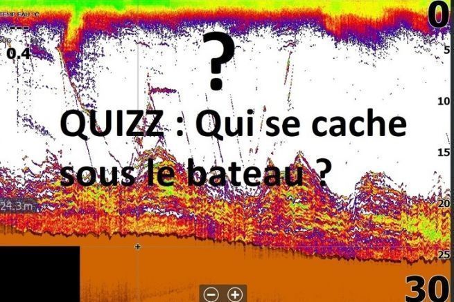 Quin se esconde bajo el barco? Intenta analizar estas capturas con ayuda de los artculos del reportaje.