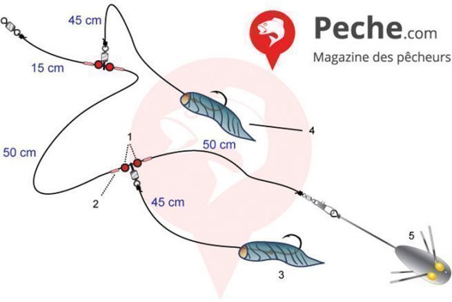 Surfcasting para skate