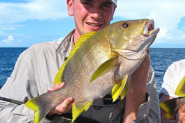 Un pargo maor de Madagascar