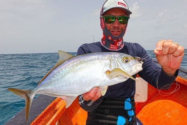 Un pequeo carangue gordo conocido como carangue amarillo