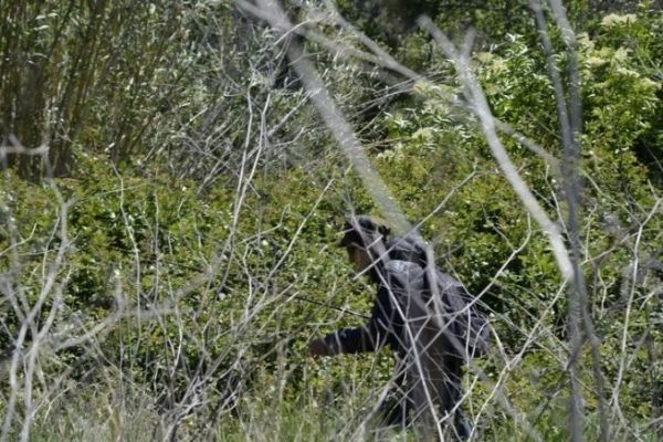 Pesca en zonas congestionadas