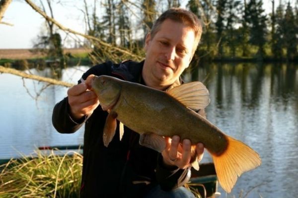 Un bonito ejemplar de tenca que no pudo resistirse a la t�cnica del feeder