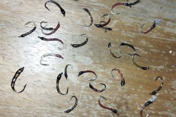 Pesca de pescado blanco