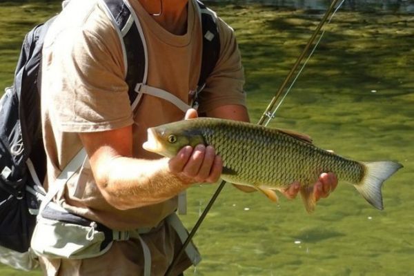 Pesca de cacho en primavera