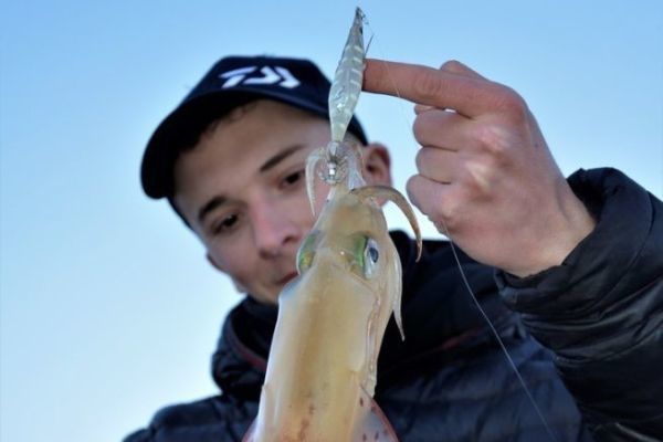 La temporada de calamares